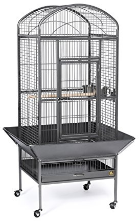 Prevue Pet Products Dometop Bird Cage - Large, Black Hammertone