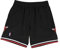 Mitchell&Ness Mitchell&Ness Mitchell & Ness Herren 2.0 - Chi. Bulls Shorts, Schwarz, L Eu