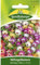 Mittagsblume, Mischung