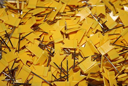 Stecknadeln Fahne Fähnchen Pinnwandnadeln Makiernadeln Kartennadel 31 mm 50 Stück gelb