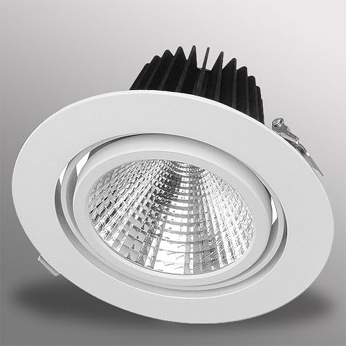 Mextronic Einbaustrahler 40W LED Einbaustrahler EXLITE-R Meat - ROSA schwenkbar Ø 175mm