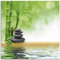 ARTland Wanddeko Glasbilder Wandbild Glas Bild einteilig 40x40 cm Quadratisch Asien Wellness Zen Spa Steine Bambus Entspannung Grün T5OP