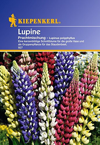 Sperli Blumensamen Lupinen mehrjährig, Mischung, grün