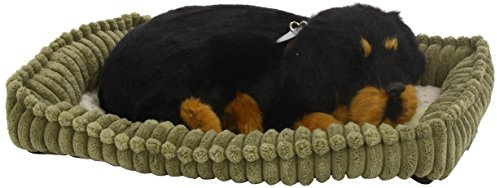 88 Unlimited Perfect Petzzz 4916 Rottweiler, Plüsch