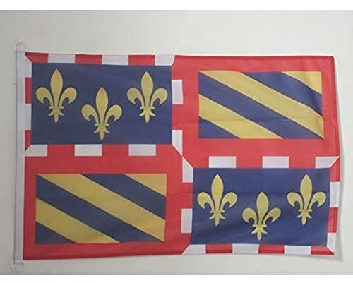 AZ FLAG - Flagge Burgund - 90x60 cm - Bourgogne Fahne 60 x 90 Cm Aussenverwendung - Flaggen
