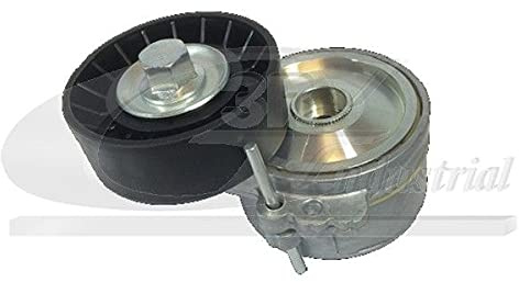 3RG 10227 Tenditore della cinghia, poli Cinghia V