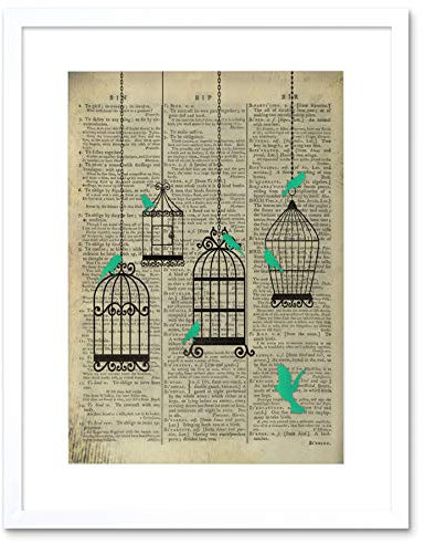Wee Blue Coo UPCYCLE DICTIONARY BIRDCAGE BIRDS FRAMED ART PRINT POSTER F12X10551