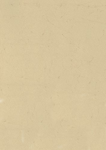 Heyda 204832011 Elefantenhaut (500 x 700 mm, 190 g/qm, 10 Blatt) chamois