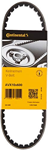 CONTITECH AVX10X600 Keilriemen