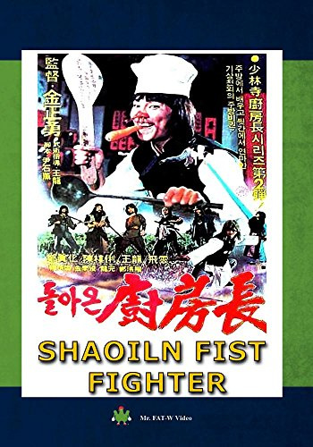 Shaoiln Fist Fighter