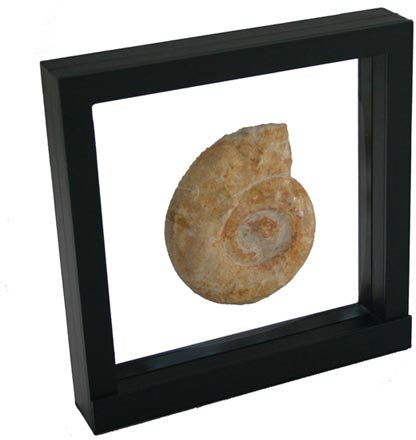 SAFE 4506 Schweberahmen schwarz 18x18 cm - Münzrahmen - Münzständer 3D Rahmen schwarz - Objekt Bilderrahmen für Ihre Objekte