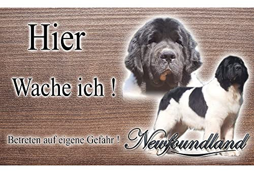 Warnschild Hund oder Warnzeichen Neufundländer 30 cm