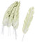 Dadeldo Federn 12er-Set Deko Papier 19cm Weiss-grün Osterdeko Frühlingsdeko Ostern