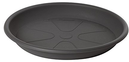 Soucoupe omnia 50 cm gris fumée