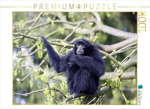 CALVENDO Puzzle Siamang | 1000 Teile Lege-Größe 64 x 48 cm Foto-Puzzle für glückliche Stunden