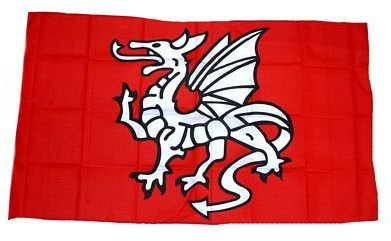 Fahne/Stockflagge Pentragon Drache NEU 30 x 45 cm Flagge