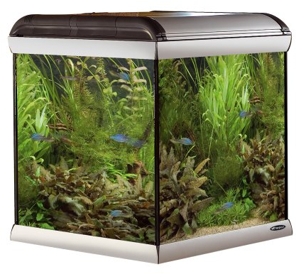 Ferplast 65205021 Star Cube Aquarium, 67 x 62 x h 67.5 cm, 230 L