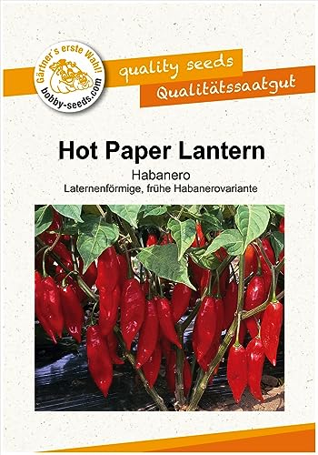 Paprikasamen Hot Paper Lantern Chili- Peperoni Portion