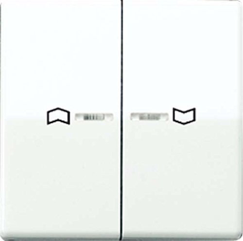 Jung AS591-5KO5P Wippe für Taster BA 2-Fach KO