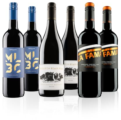 Virgin Wines - Customer Favourites Red Wine Case - 6 Bottles (75cl) - Australian Shiraz, Argentinian Malbec & Chilean Carménère