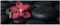 Wallario selbstklebendes Poster - Orchideen-Blüte auf schwarzen Steinen, benetzt mit Wasser-Tropfen, Aufkleber in Premiumqualität, Klebefolie Größe: 80 x 200 cm XXL-Poster