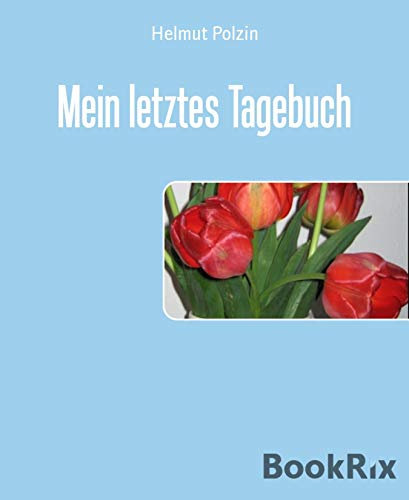 Mein letztes Tagebuch: Mit Achtzig fing alles an