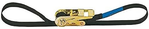 Adam Hall Accessories SR258 Zurrgurt mit Druckratsche 25 mm - 8,0 m