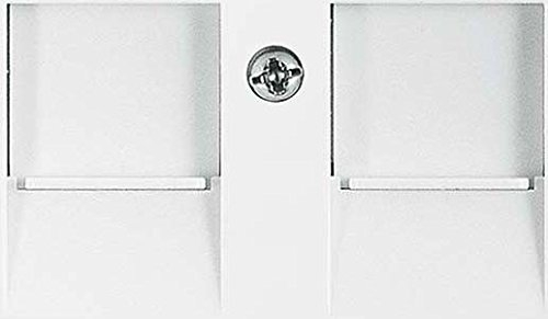 BUSCH-JAEGER Zentralplatte 2 Module Jack 1800-914