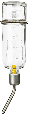 Biberon, verre, Cochon d'Inde 250 ml