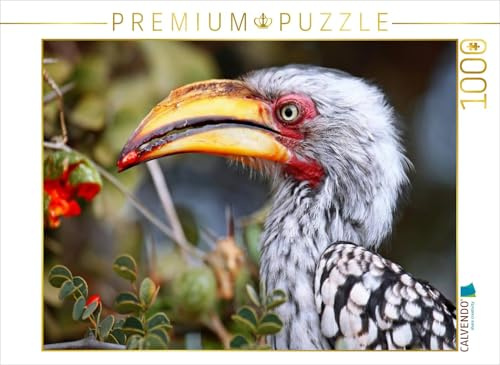 CALVENDO Puzzle Gelbschnabel-Toko | 1000 Teile Lege-Größe 64 x 48 cm Foto-Puzzle für glückliche Stunden