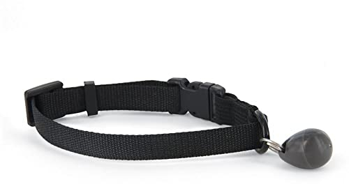 PetSafe Staywell 480M Zugangshalsband