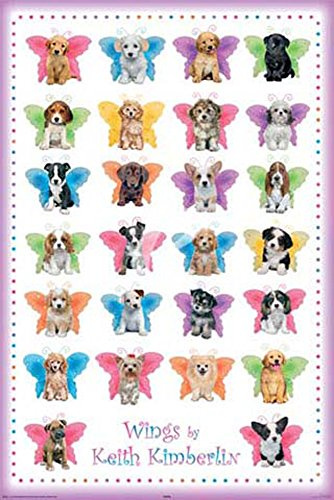 empireposter Kimberlin, Keith - Wings Dogs - Tier-Poster Hunde - Grösse 61x91,5 cm + 2 St Posterleisten Kunststoff 62 cm schwarz