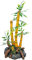 Amtra Wave Japan Plante de Bambou pour Aquariophilie