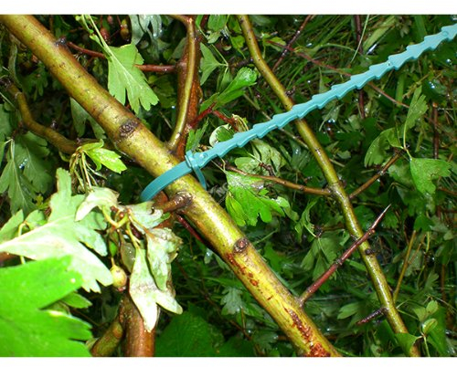 Kingfisher GS40TT Adjustable Tree/ Plant Ties - Green (Pack of 40)