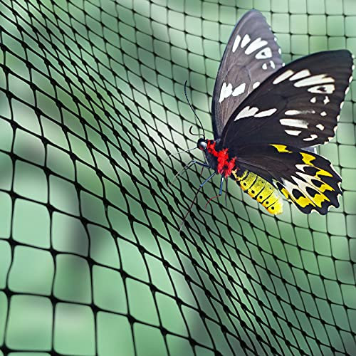 Elixir Gardens Butterfly & Insect Fruit Cage Netting | UV Resistant Plastic Fine Mesh Net for Vegetable, Flower & Plant Protection/Cover | 2m or 4m Wide | 1m - 150m Length (2m x 010m)