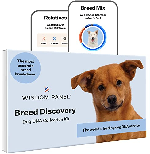 Wisdom Panel Breed Discovery 3.0: DNA-Test-Set für genaueste Rassen-ID | MDR1 | Ancestry | Verwandte