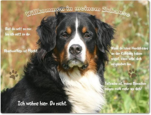 Merchandise for Fans Blechschild/Warnschild/Türschild - Aluminium - 20x30cm - - Willkommen in Meinem Zuhause - Motiv: Berner Sennenhund - 01