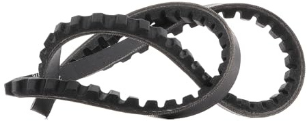 DAYCO 10A0785C Gürtel