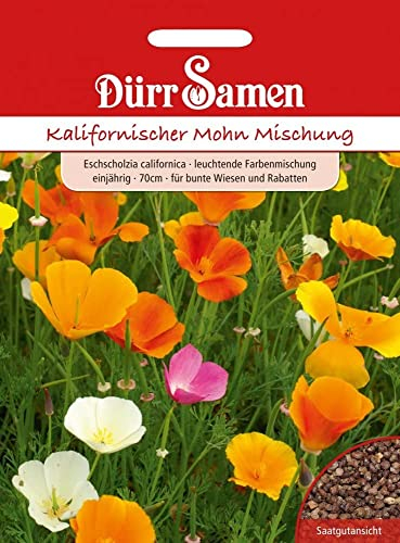 Mohn Samen Kalifornischer Mohn Mischung Mohnsamen Bienen Insekten Freundlich Mohnwiese Saatgut ca 200 Korn Garten Hochbeet Kübel Dürr Samen