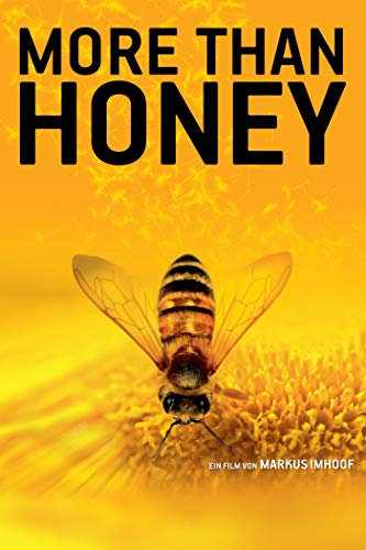 More Than Honey