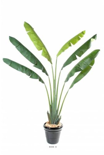 Artificielles.com - Arbre du Voyageur Palmier Artificiel en Pot 250 cm Artificiel