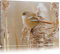 Pixxprint kleiner Vogel auf Weizen, Größe: 80x60cm, Leinwandbild, fertig gespannt, Wandbild, Dekoration, Kunstdruck, kein Poster
