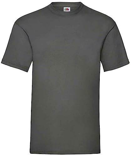 Fruit of The Loom Men's T-Shirt, Light Black (Light Graphite), XXL