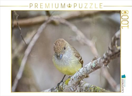 CALVENDO Puzzle Fliegenschnäpper | 1000 Teile Lege-Größe 64 x 48 cm Foto-Puzzle für glückliche Stunden