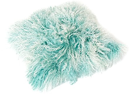 Reissner Lammfelle Tibet Lammfell Kissenbezug langflorig 40x40cm JYB05 Farbe Mint/Weiss (Tops)