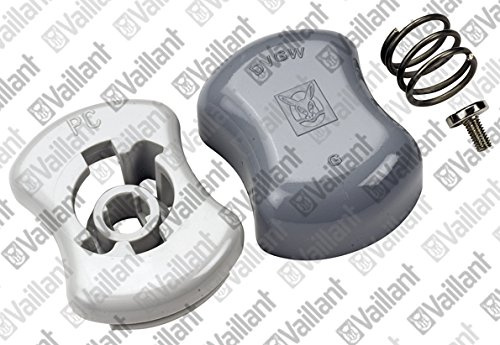 Vaillant