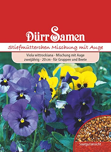 Stiefmütterchen Samen Mischung mit Auge Viola Stiefmütterchensamen Veilchen ca 200 Korn Saatgut Blumensamen Garten Hochbeet Balkonkasten Kübel Dürr Samen