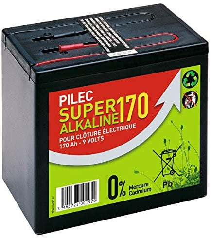 Pile alcaline 9 V - 170 Ah