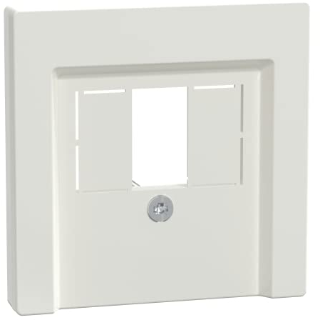 Schneider Electric Merten Zentralplatte für UAE-Einsatz, 2-fach, System M, polarweiss glänzend, Artikelnummer 298019, 1 Stück