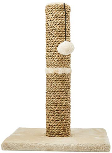 Rosewood Poteau Grattoir Turin pour Chat